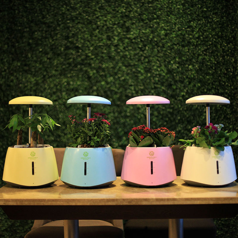 【绿色宠物】智能植物生长机 绿植净化 绿植制氧 