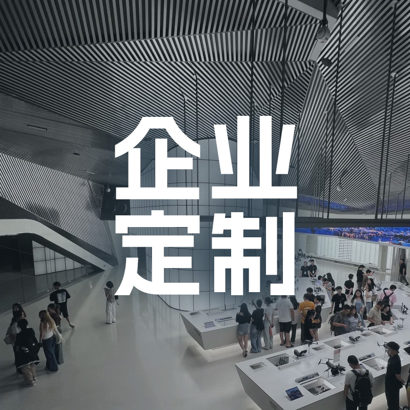 企业定制