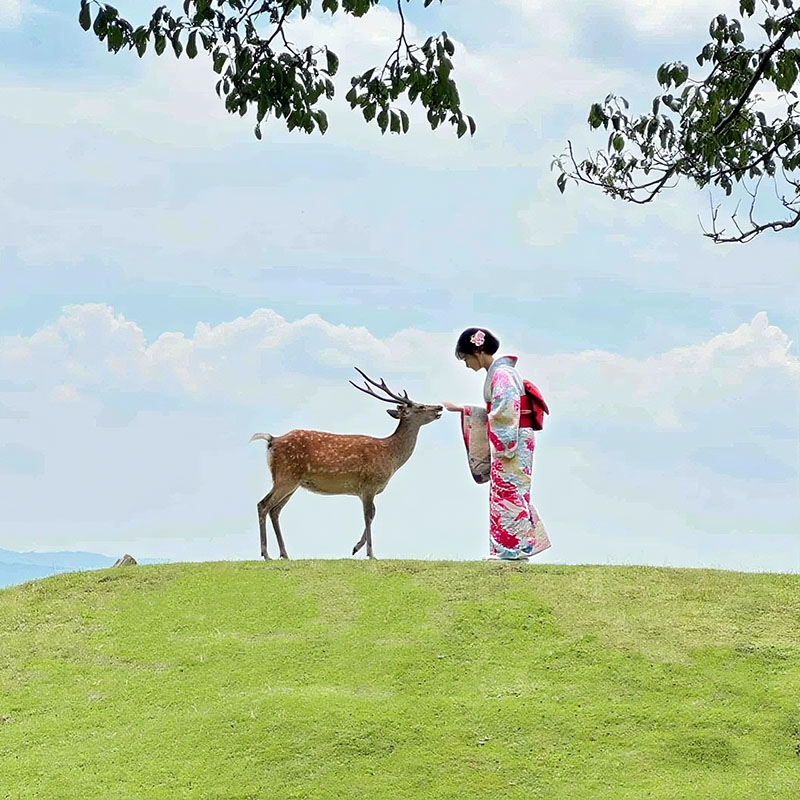 日本旅游东京大阪奈良6天5晚跟团游富士山银座含签证机票星级酒店