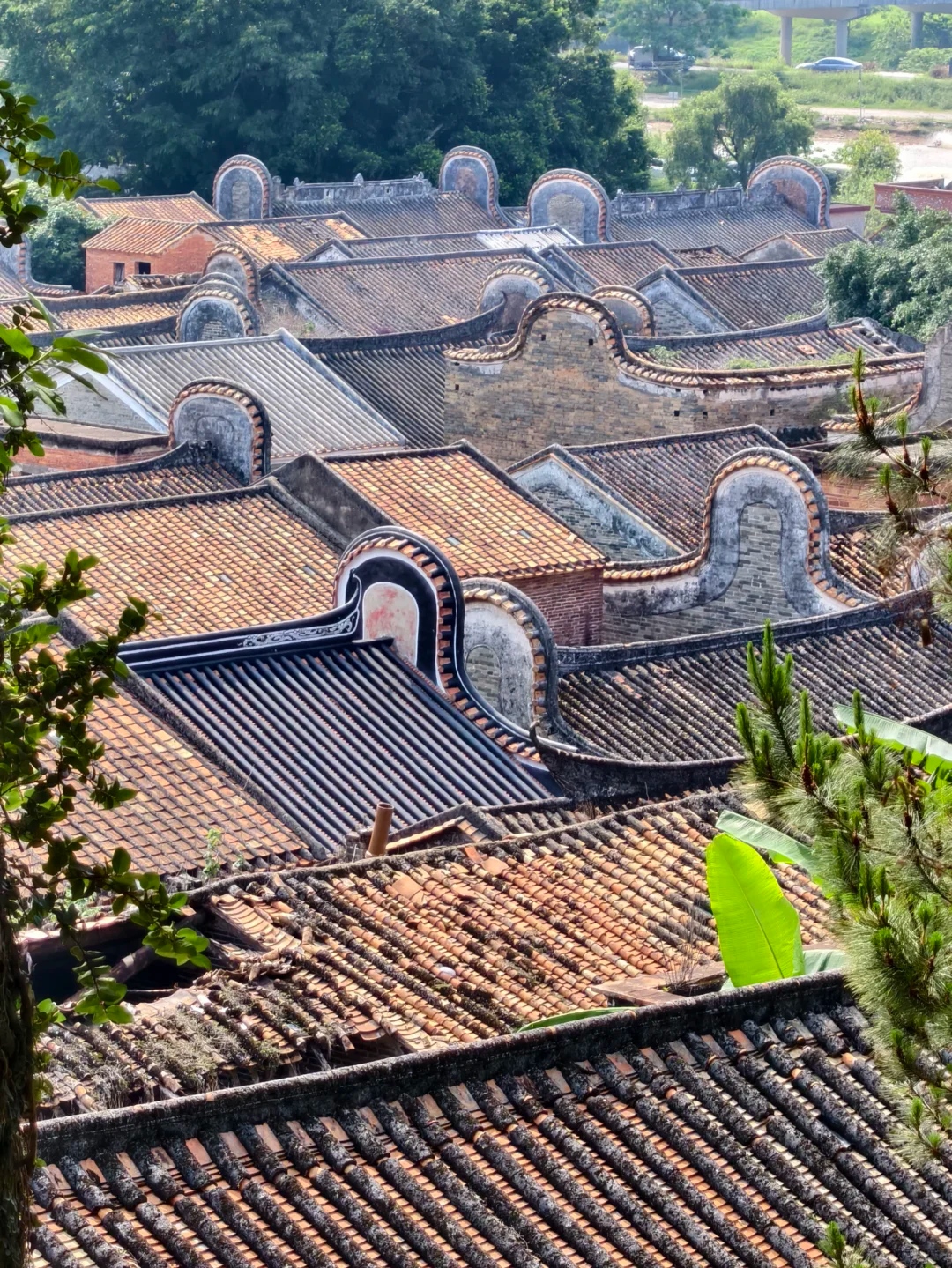 长岐古村北江大堤一日游