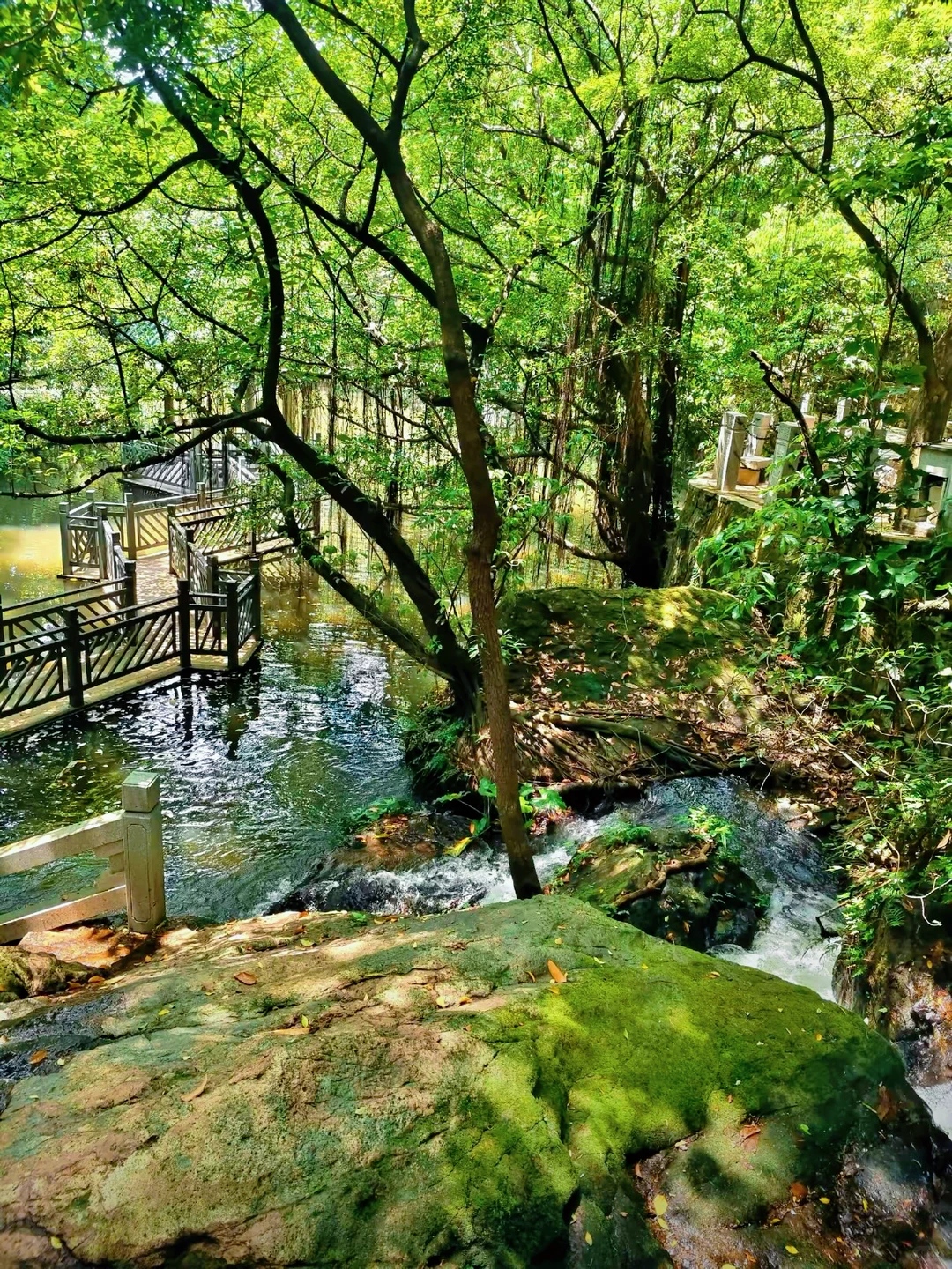 西樵山团建一日游